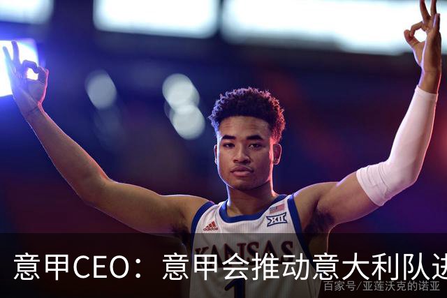 意甲CEO：意甲会推动意大利队进步 国家队低迷原因得追溯到20年前