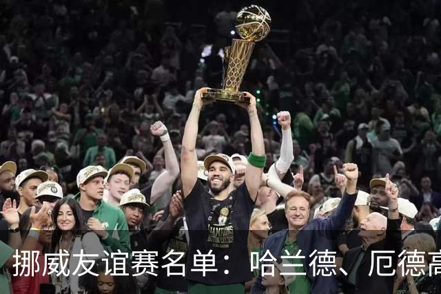 挪威友谊赛名单：哈兰德、厄德高领衔